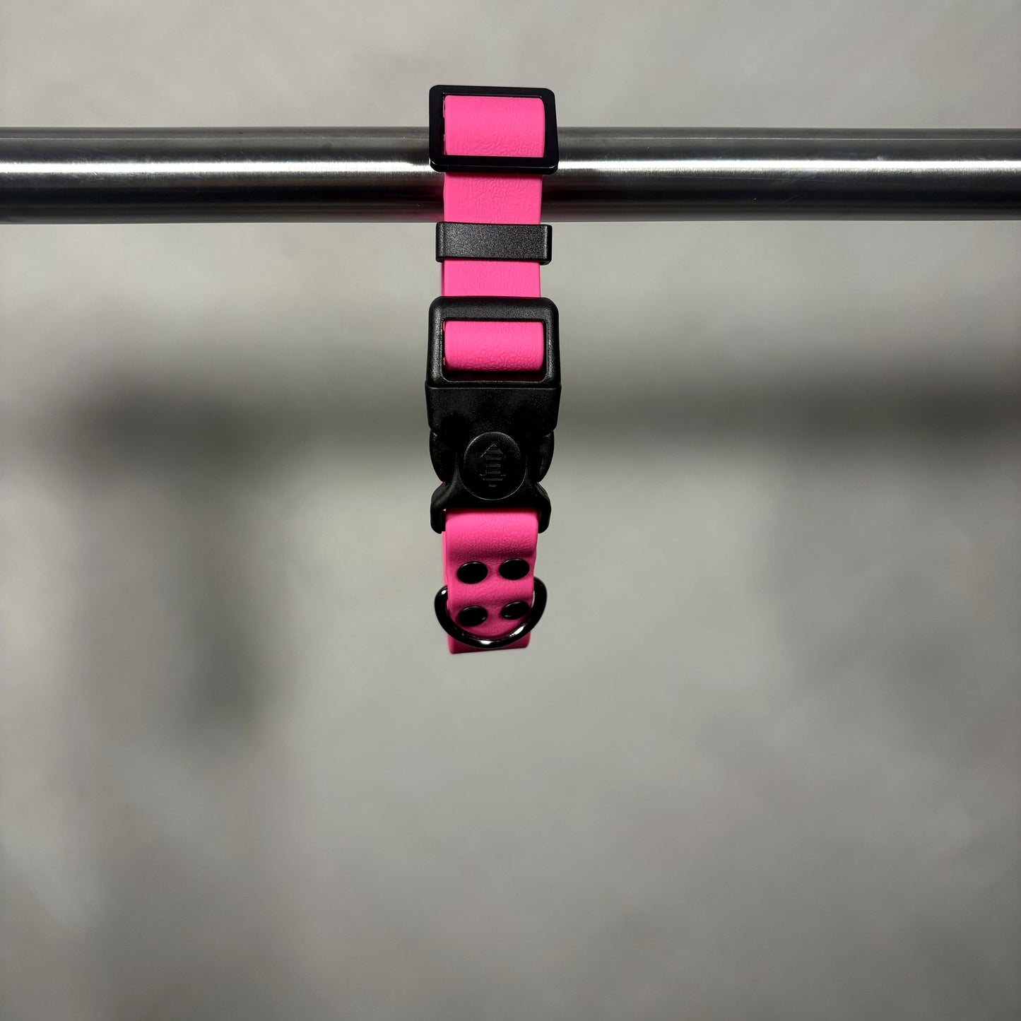 Collar para Mascota
