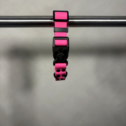 Collar para Mascota