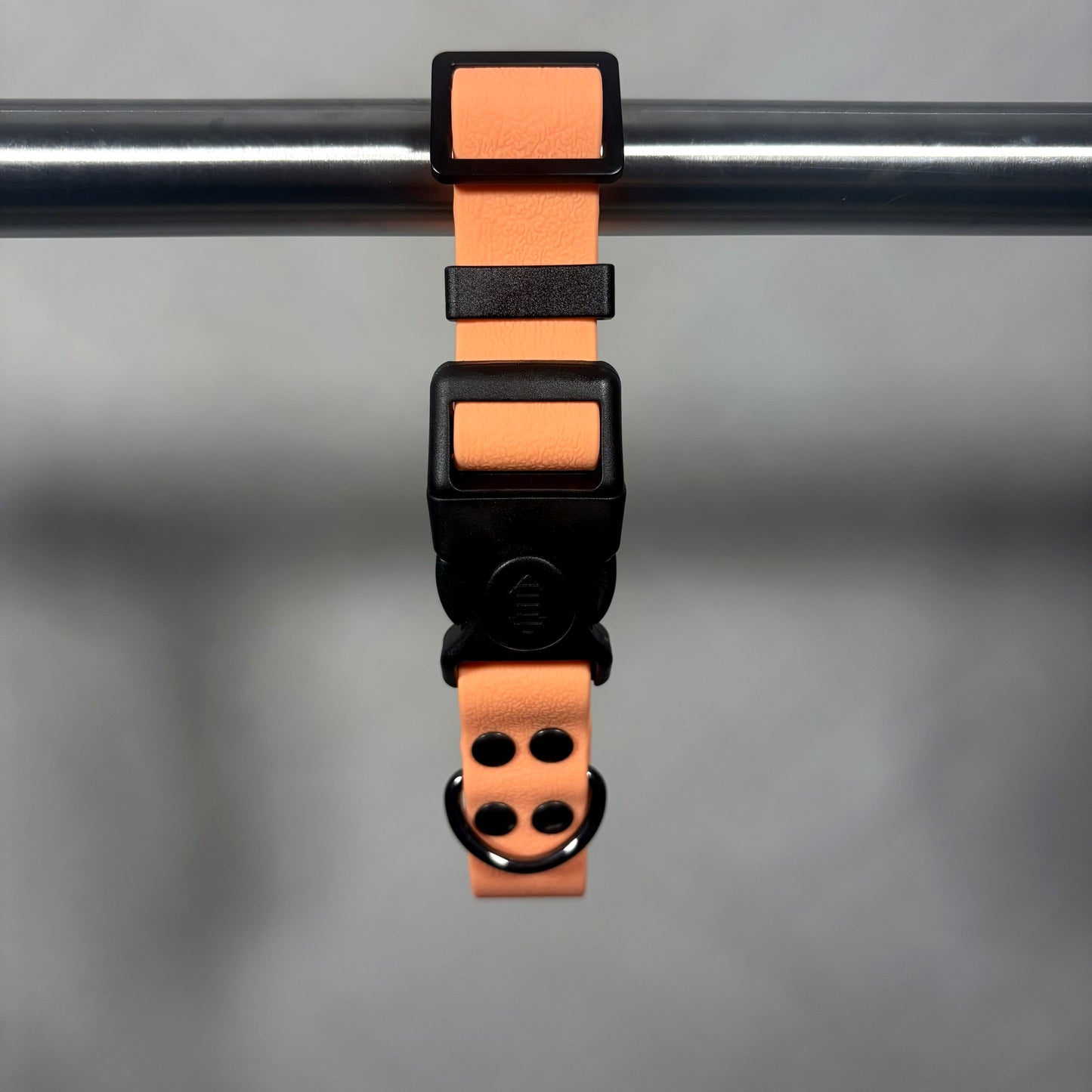 Collar para Mascota