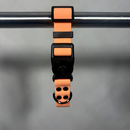 Collar para Mascota