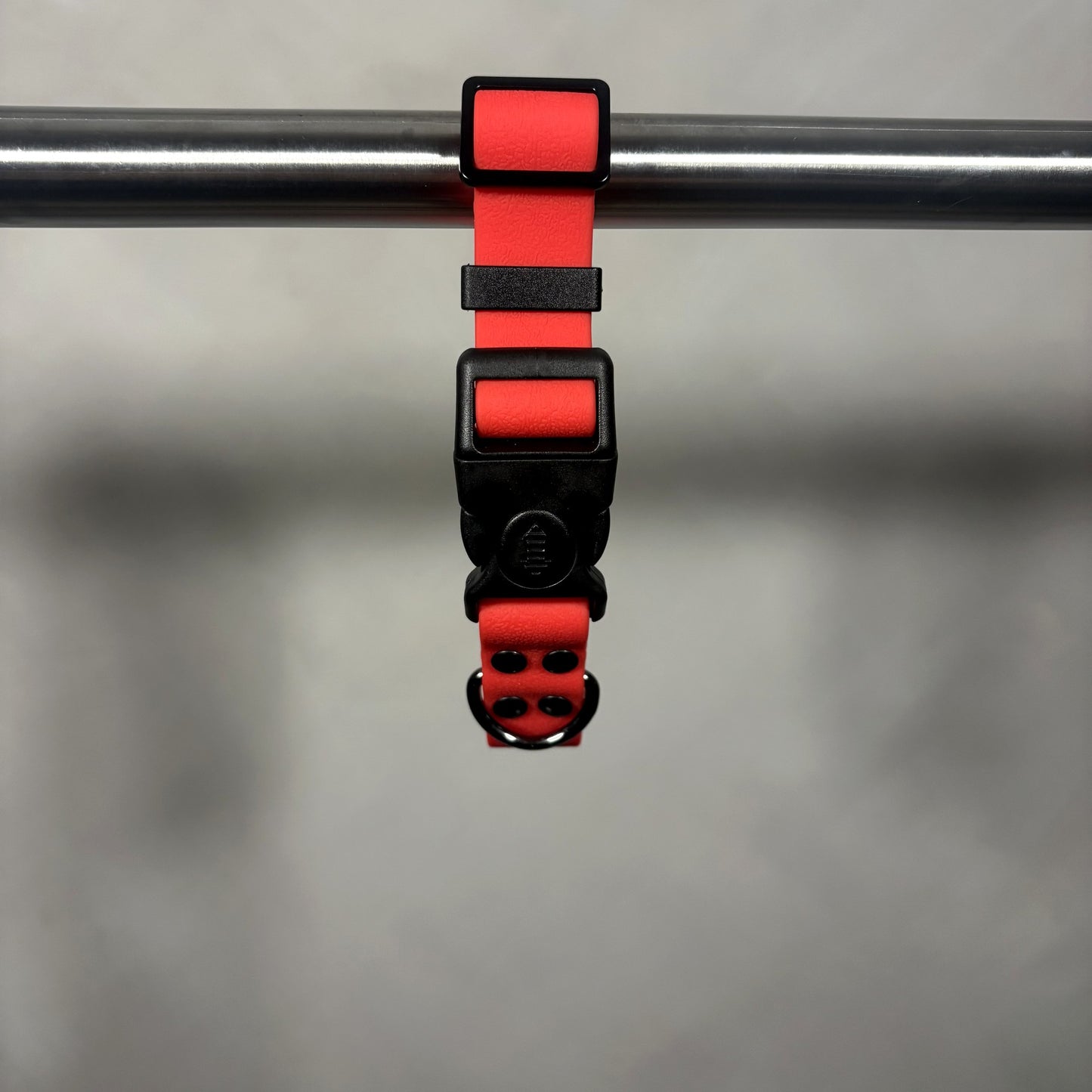 Collar para Mascota