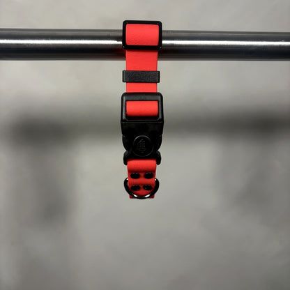 Collar para Mascota