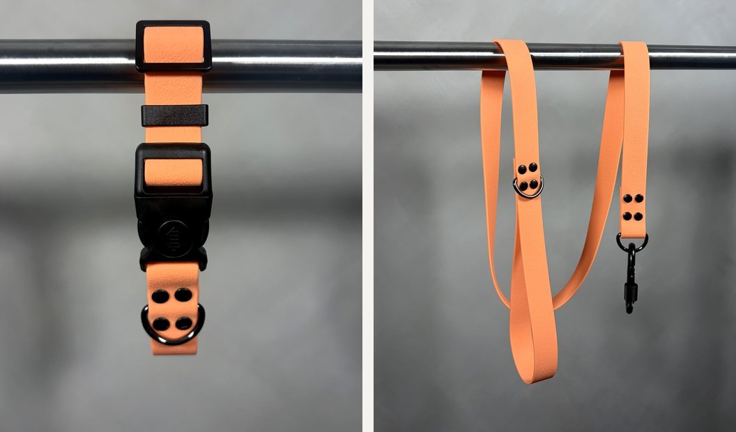 Combo collar y correa Marati naranja