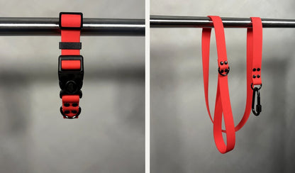 Combo collar y correa Marati rojo